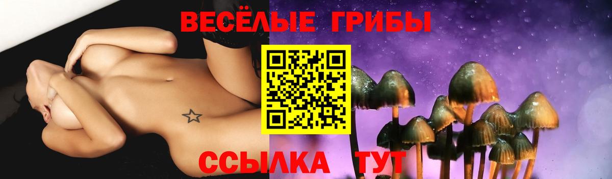 Симферополь  Галлюциногенные грибы мицелий  Вход с VPN 